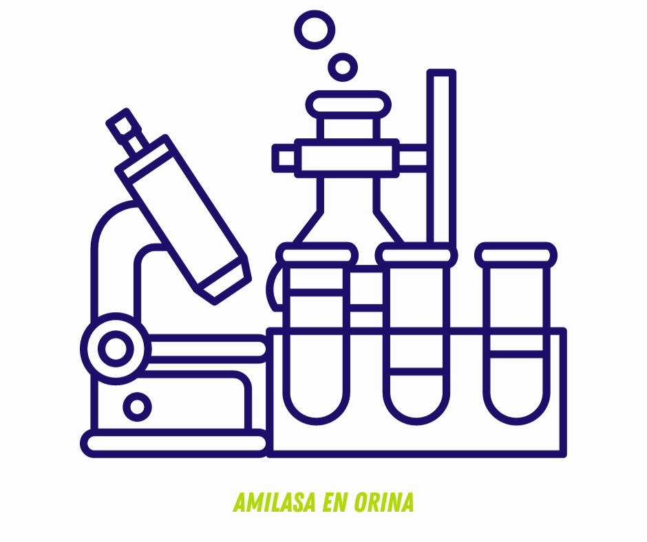 AMILASA EN ORINA