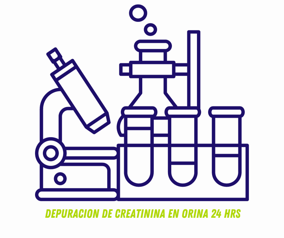 DEPURACION DE CREATININA EN ORINA 24 Hrs