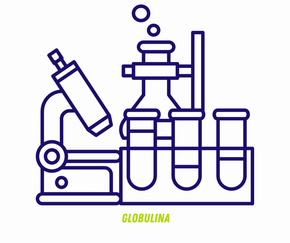 GLOBULINA