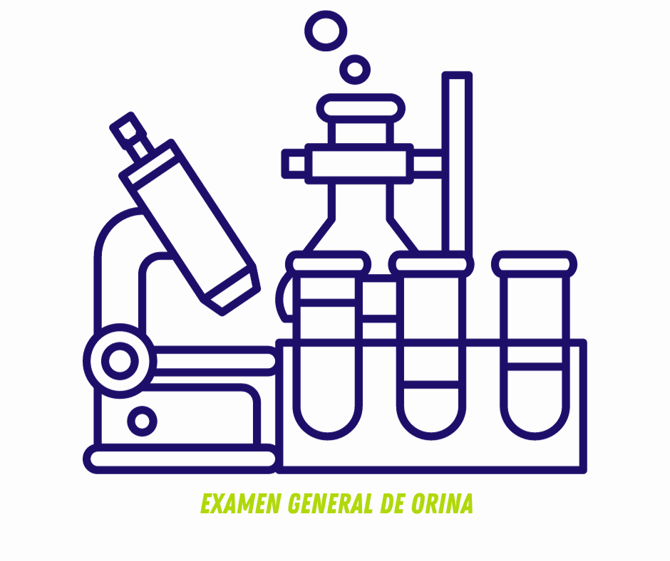 EXAMEN GENERAL DE ORINA