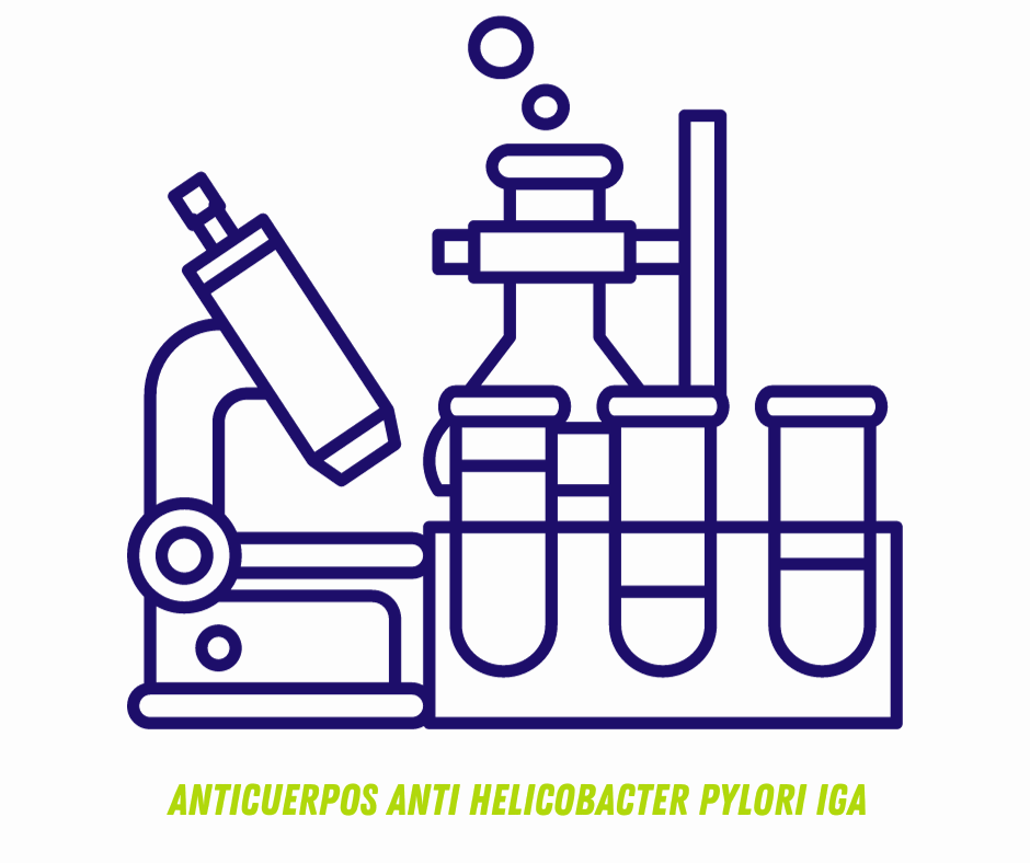 ANTICUERPOS ANTI HELICOBACTER PYLORI IgA