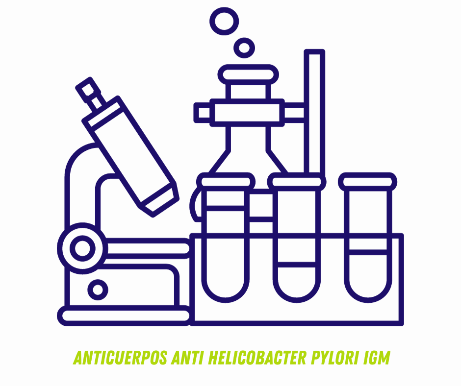 ANTICUERPOS ANTI HELICOBACTER PYLORI IgM