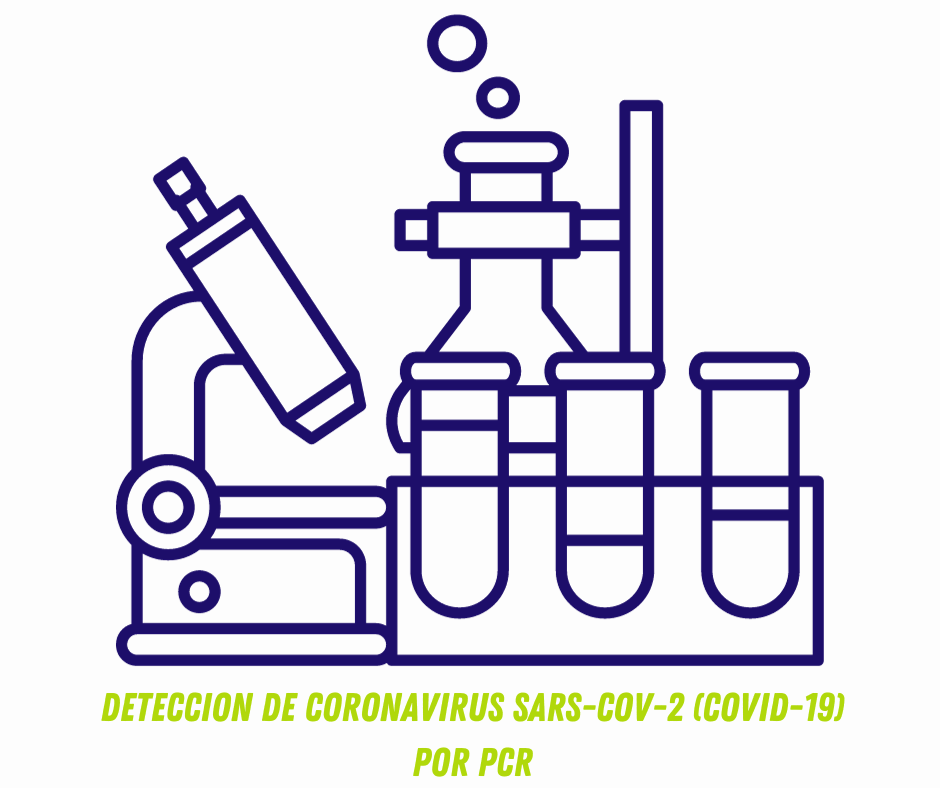 DETECCION DE CORONAVIRUS SARS-CoV-2 (COVID-19) POR PCR