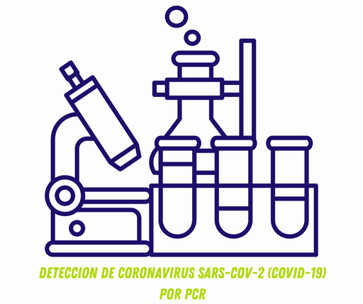 [PCR-COVID-19] DETECCION DE CORONAVIRUS SARS-CoV-2 (COVID-19) POR PCR